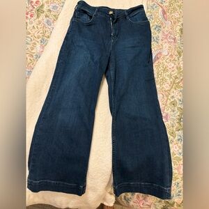 Pilcro- Wide leg cropped